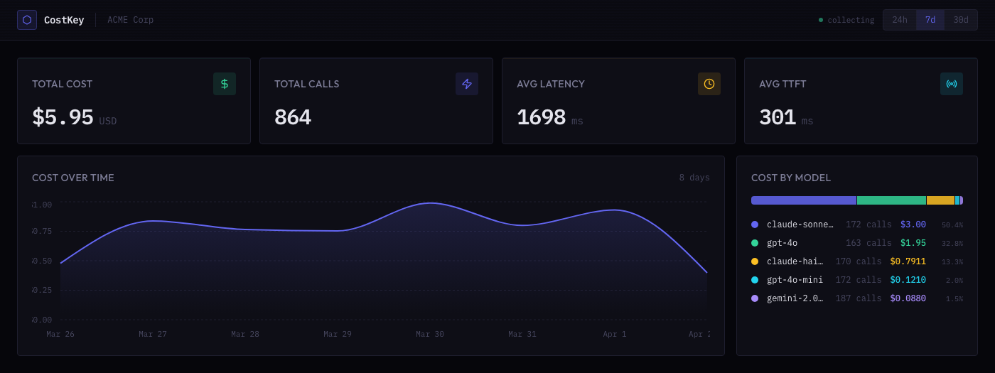 Cost overview with stats and model breakdown